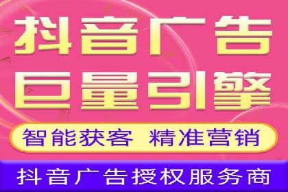 信息流广告投放公司案例策略解析